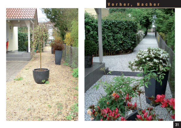 Bildansicht der Seite